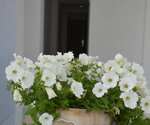 S. Luxury Princess Apart-hotel 3*