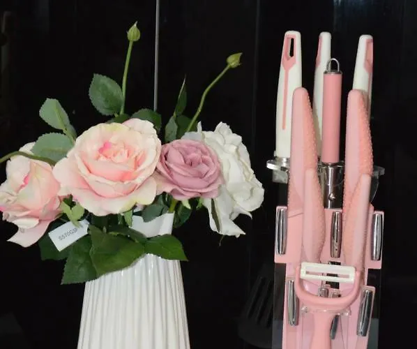 S. Luxury Princess Apart-hotel