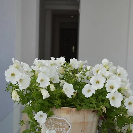 S. Luxury Princess 公寓式酒店 3*