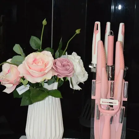 S. Luxury Princess 公寓式酒店